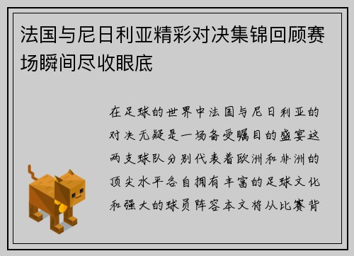 法国与尼日利亚精彩对决集锦回顾赛场瞬间尽收眼底