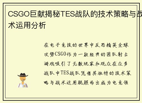 CSGO巨献揭秘TES战队的技术策略与战术运用分析