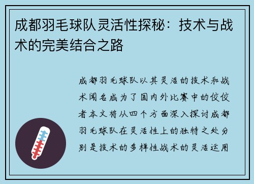成都羽毛球队灵活性探秘：技术与战术的完美结合之路